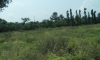 Langha Road (1).jpg